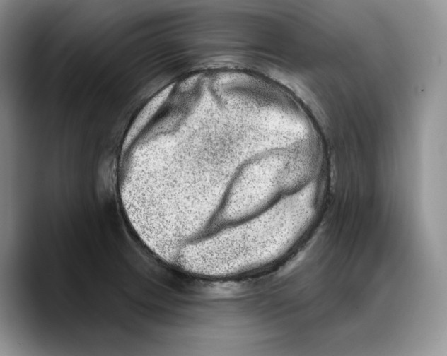 X0000089741233200707201855