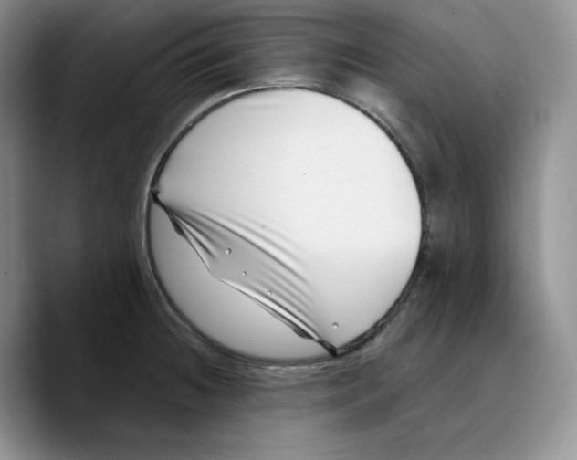 X0000089741236200707201855