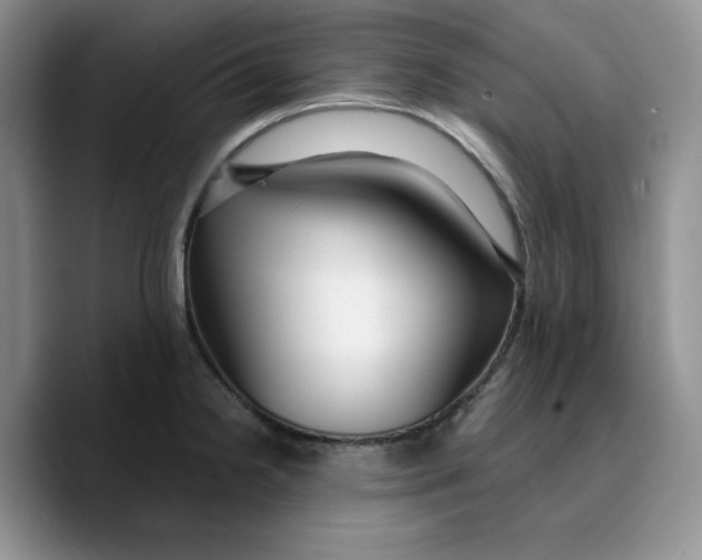 X0000089741238200707201855