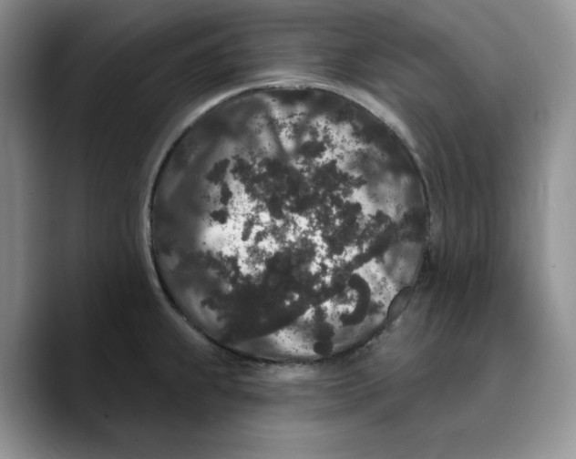 X0000089741239200707201855