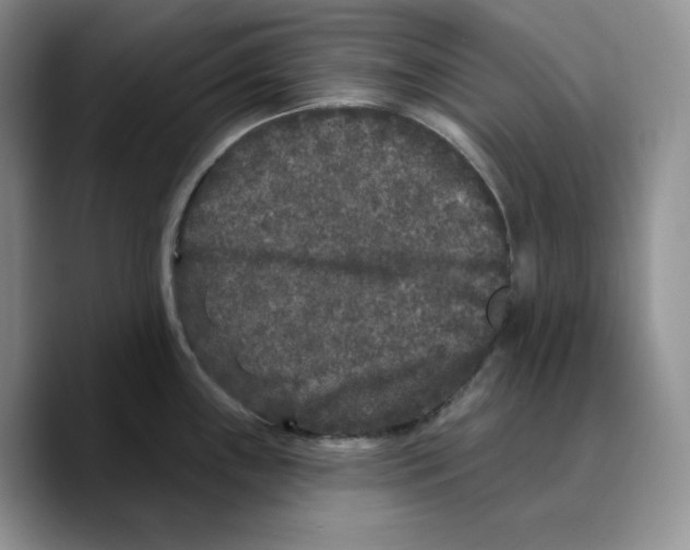 X0000089741243200707201855