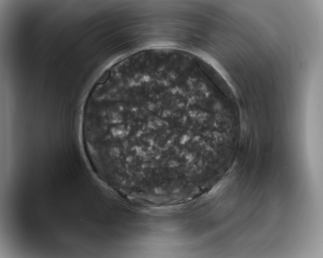 X0000089741245200707201855