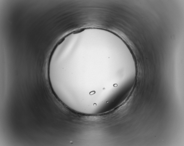 X0000089741246200707201855