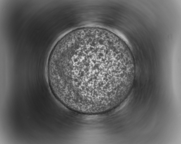 X0000089741247200707201855