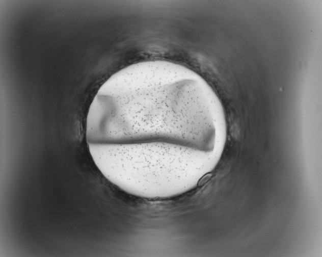 X0000089741253200707201855