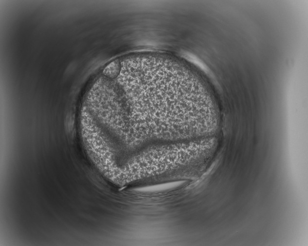 X0000089741259200707201855