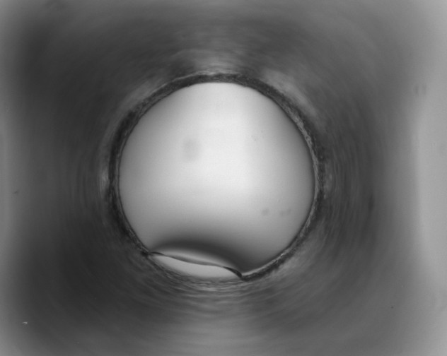 X0000089741261200707201855