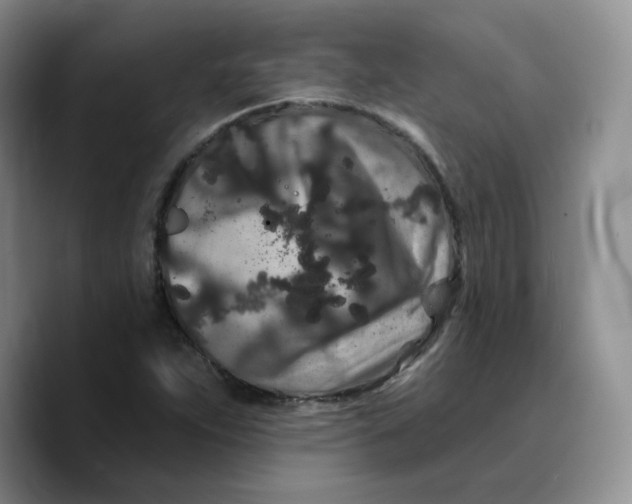 X0000089741263200707201855