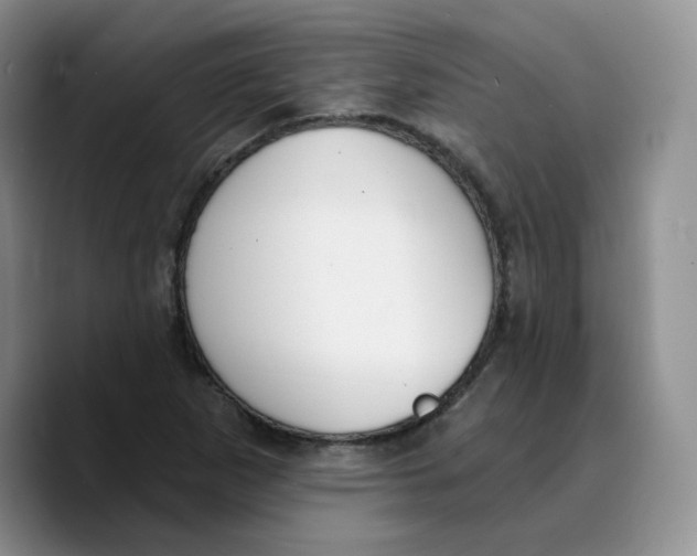 X0000089741265200707201855