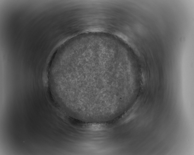 X0000089741266200707201855