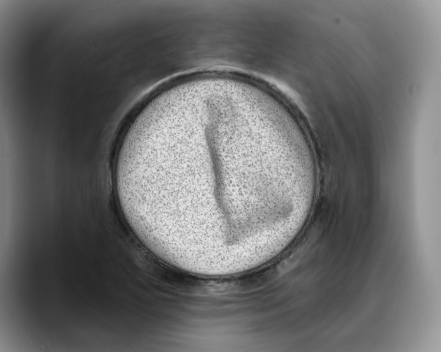 X0000089741271200707201854