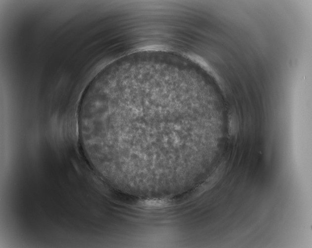 X0000089741274200707201854