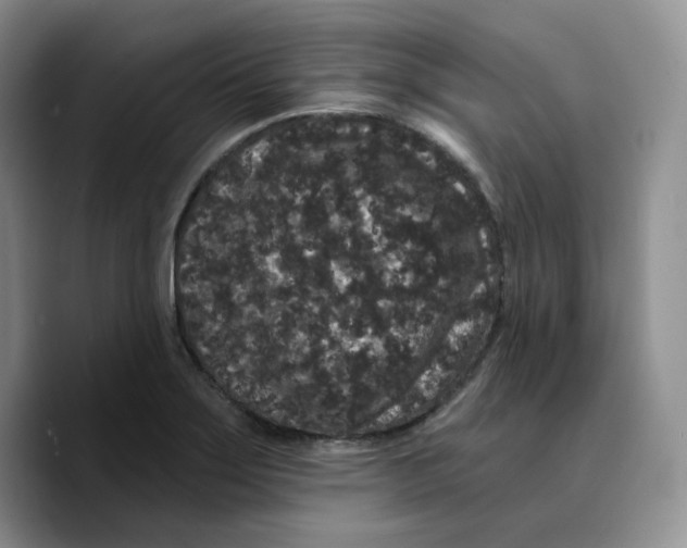 X0000089741275200707201854