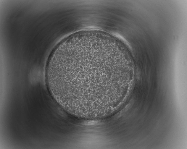 X0000089741278200707201854