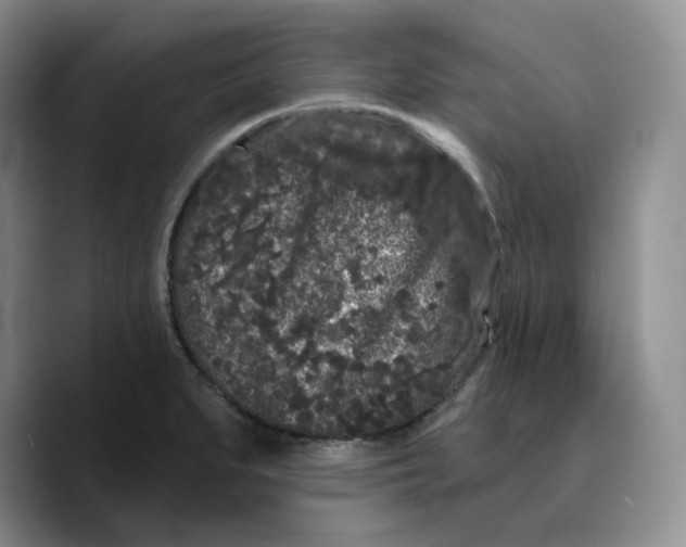 X0000089741279200707201854