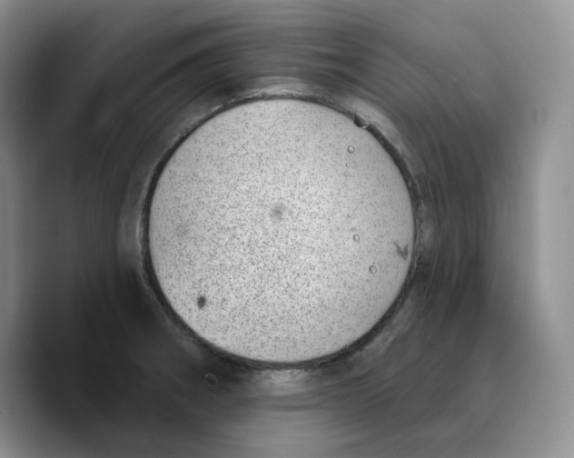 X0000089741282200707201854