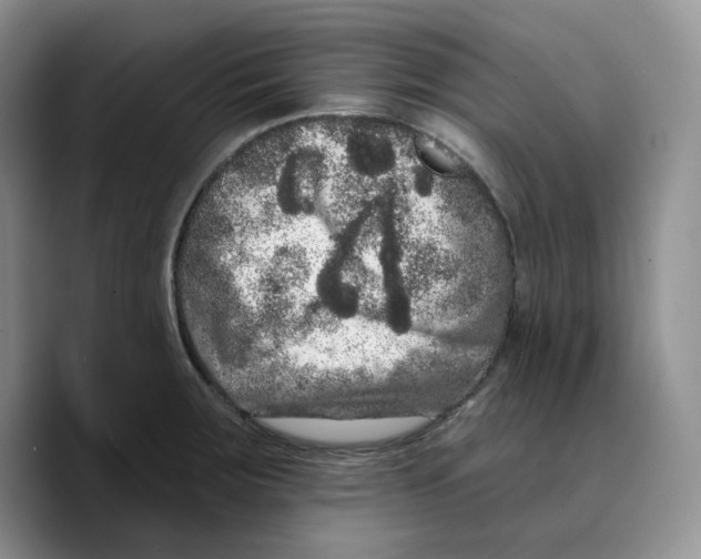 X0000089741283200707201854