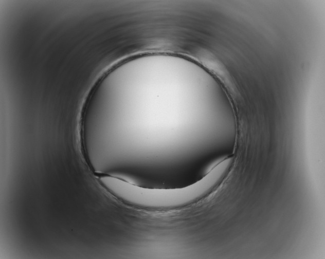 X0000089741288200707201854