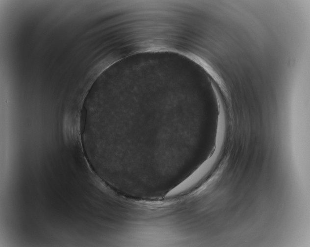 X0000089741289200707201854