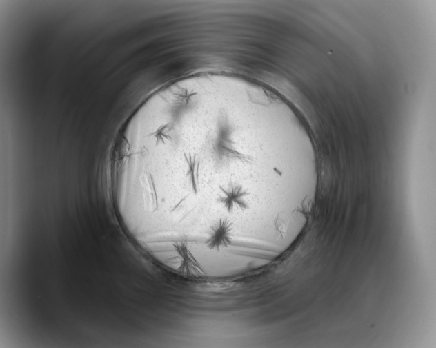 X0000089741290200707201854