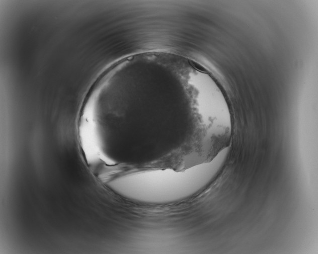 X0000089741291200707201854