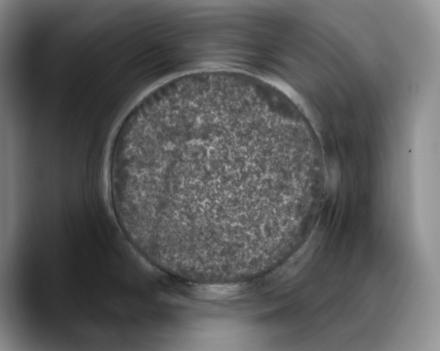 X0000089741294200707201854