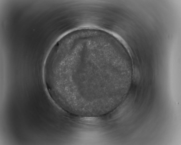 X0000089741295200707201854