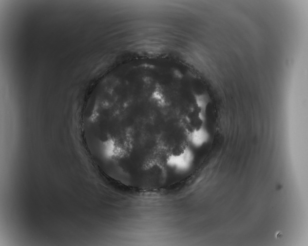 X0000089741297200707201853