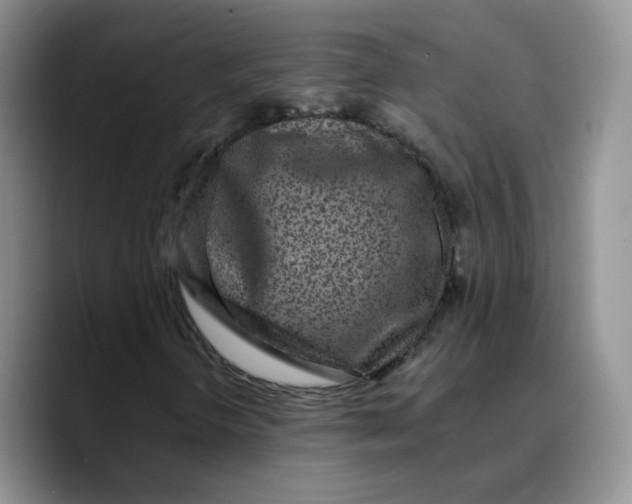 X0000089741298200707201854