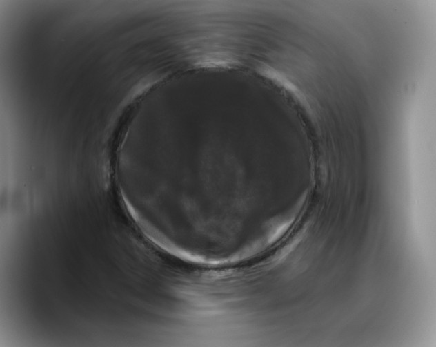 X0000089741306200707201854