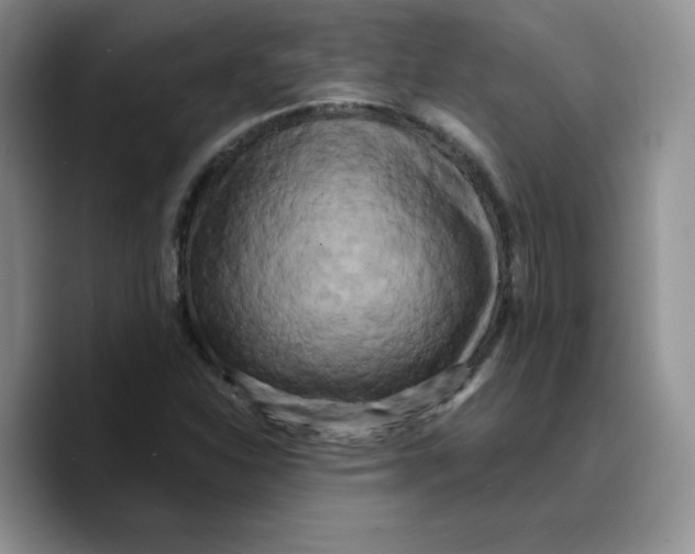 X0000089741310200707201854