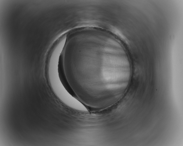 X0000089741312200707201854