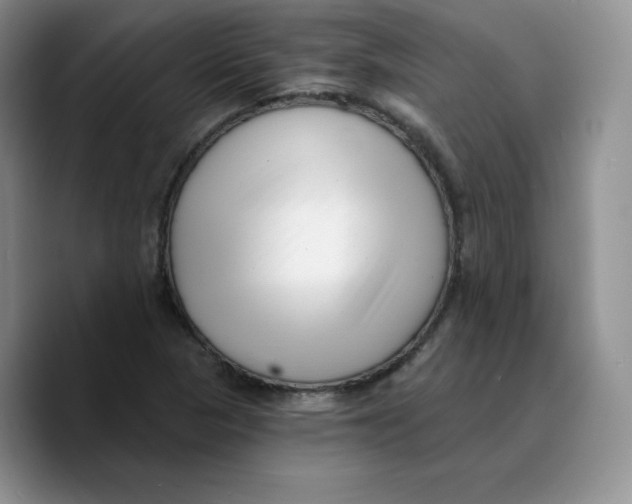 X0000089741313200707201854