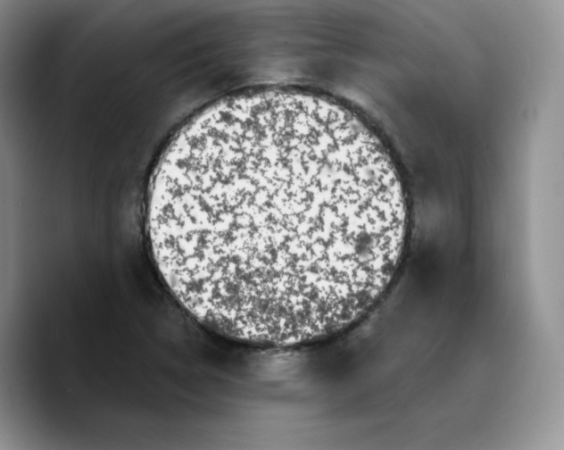 X0000089741314200707201854