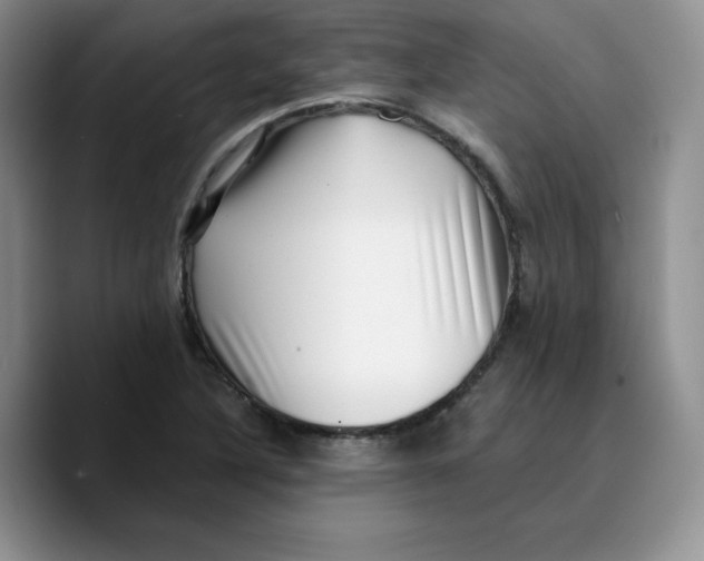 X0000089741316200707201854