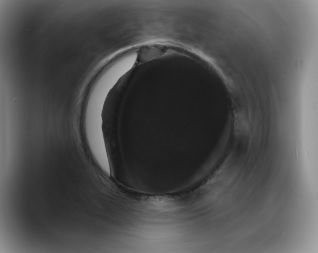 X0000089741319200707201854