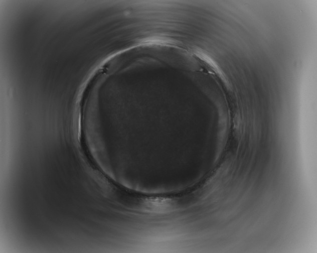 X0000089741323200707201854