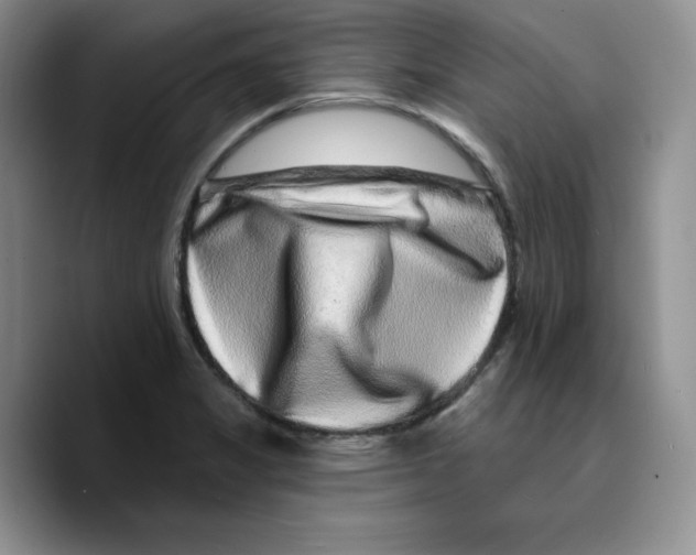 X0000089741325200707201854