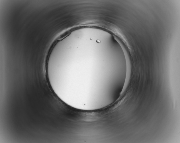 X0000089741328200707201854