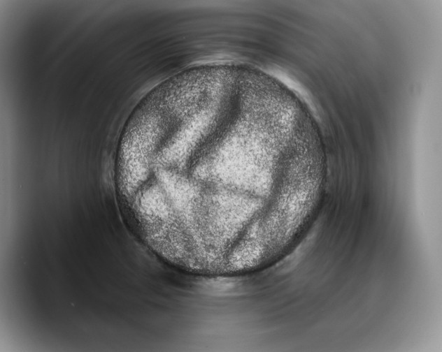 X0000089741329200707201854