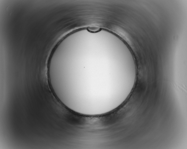 X0000089741332200707201854