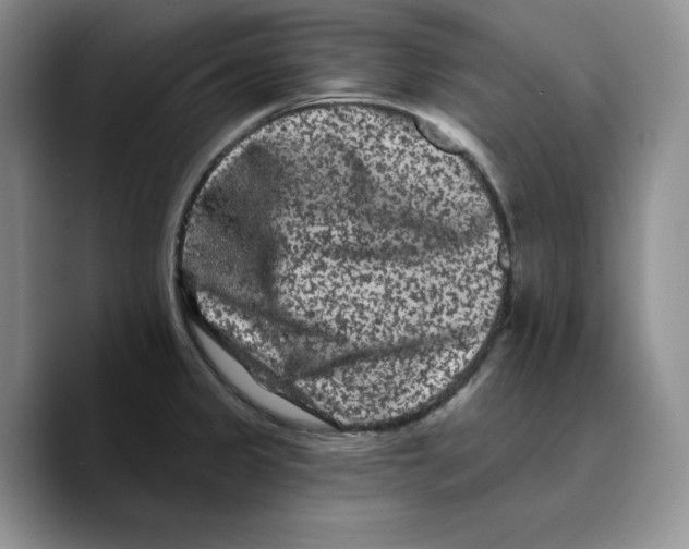 X0000089741333200707201854