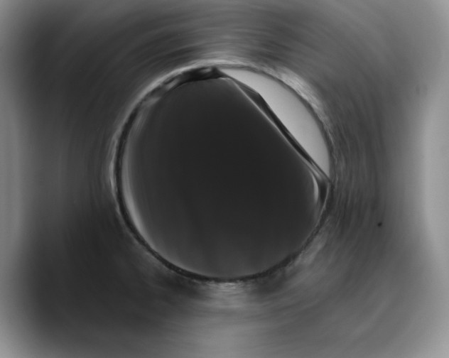 X0000089741334200707201854