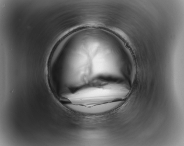 X0000089741335200707201854