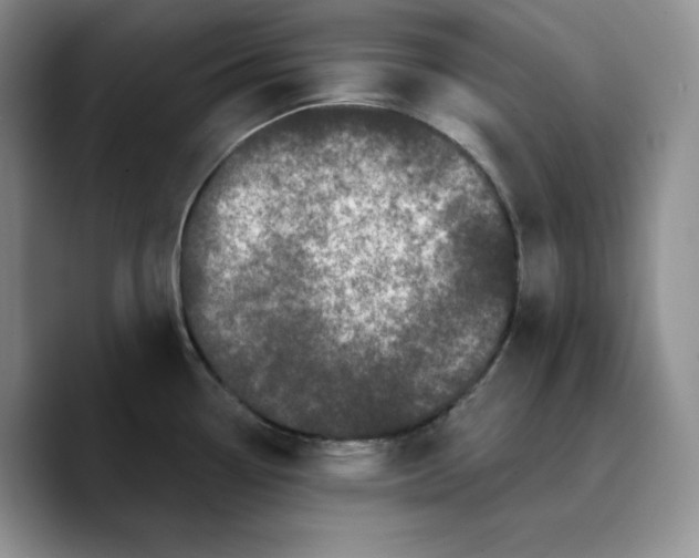 X0000089741338200707201854