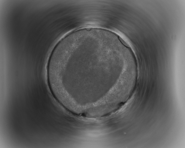 X0000089741341200707201854