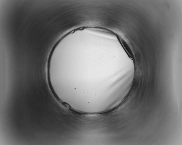 X0000089741343200707201854