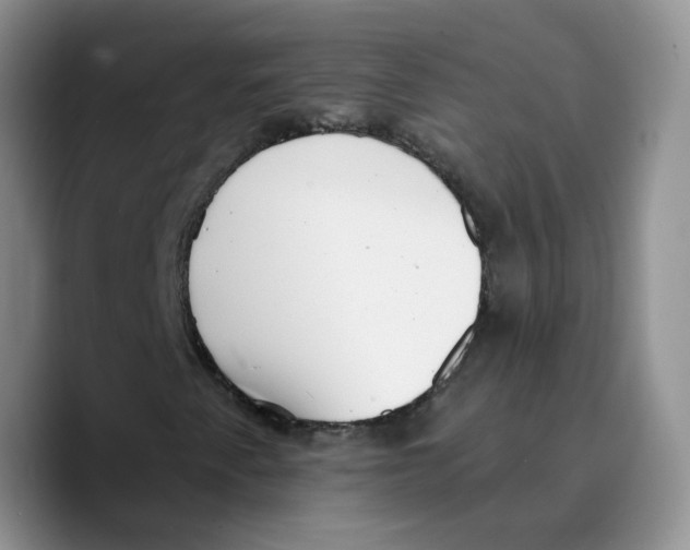 X0000089741345200707201853