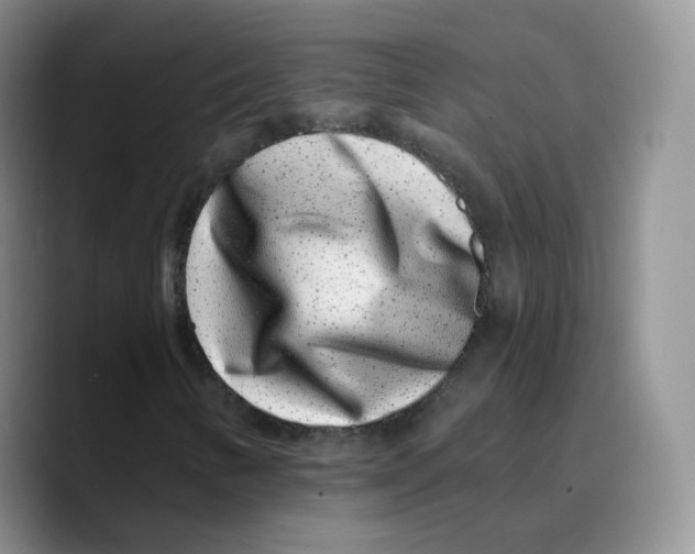 X0000089741346200707201853