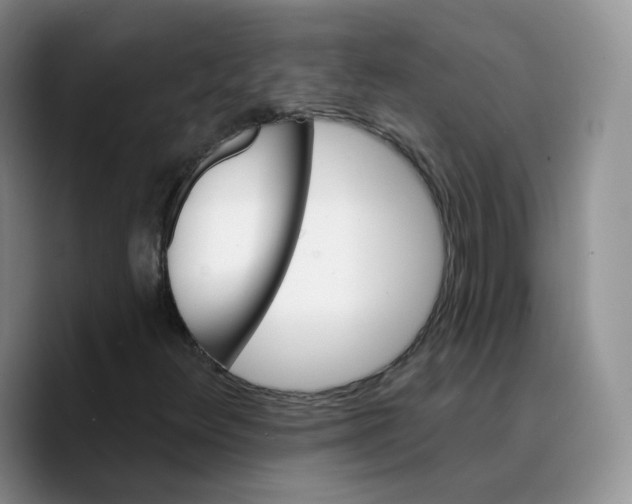 X0000089741348200707201853